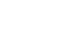 Email-Us-ICON
